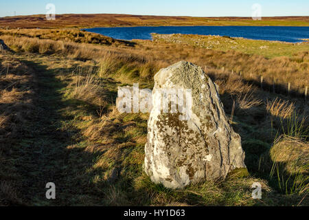 Les Achavanich Standing Stones, près de Lybster, Caithness, Écosse, Royaume-Uni. Derrière se trouve Loch Stemster. Banque D'Images