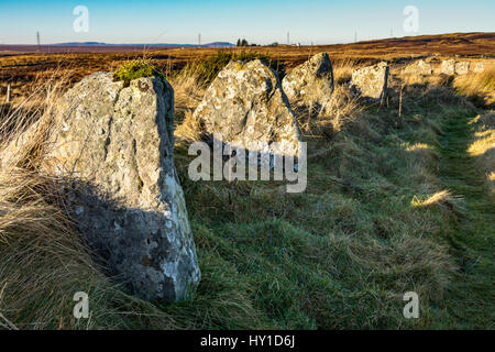 Le Achavanich Mégalithes, près de Cuba, Caithness, Ecosse, Royaume-Uni Banque D'Images