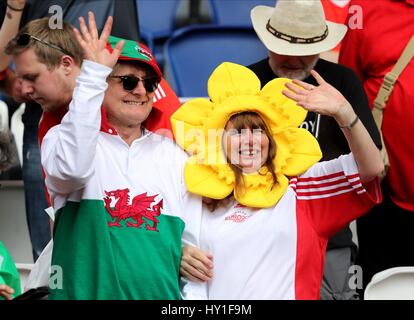 Pays de Galles PAYS DE GALLES V DES FANS D'IRLANDE PARC DES PRINCES PARIS FRANCE 25 juin 2016 Banque D'Images