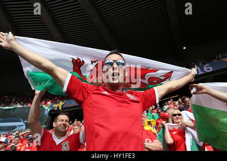 Ventilateur avec drapeau gallois au Pays de Galles V D'IRLANDE EURO PARC DES PRINCES PARIS FRANCE 25 juin 2016 Banque D'Images