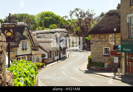 Maison au toit de l'ancien village de Shanklin, sur l'île de Wight, Angleterre du Sud-Est. Reetdach-Haeuser im Dorf Shanklin auf der Insel Wight dans Su Banque D'Images