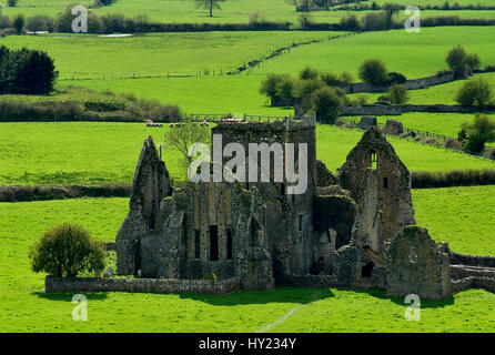 Ce stock photo montre l'Hore Abbey près du château irlandais Rock of Cashel. L'image a été prise sur un après-midi de printemps ensoleillé. Banque D'Images