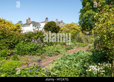 Jardin de Preston Manor, un manoir historique datant du 17ème siècle à la populaire station balnéaire de Brighton, East Sussex, Angleterre du Sud. | Garten des reizvollen Banque D'Images