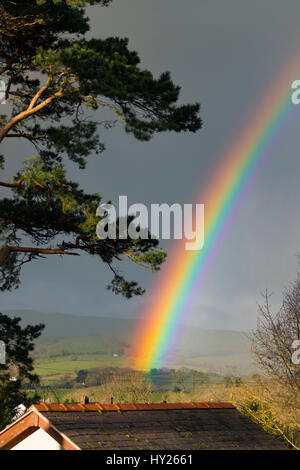 Arc-en-ciel sur spectaculaire Flintshire rural dans le Nord du Pays de Galles en pluie au cours de la compensation Clwydian Hills crée le phénomène météorologique Banque D'Images