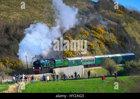 Château de Corfe, Dorset, UK. Mar 31, 2017. Le chemin de fer Swanage l'hôte d'un gala de la vapeur sur 3 jours avec Bulleid locomotives pour célébrer le 50e anniversaire de l'opération finale de la vapeur sur les services de transport ferroviaire de la région du Sud. Sur la photo, les locomotives 34053 Sir Keith Park et 34081 92 e Escadron à une double formation crossing le viaduc à Corfe Castle sur son approche de Norden. Crédit photo : Graham Hunt/Alamy Live News Banque D'Images