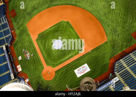 Saint Petersburg, Florida, USA. Mar 31, 2017. Vous VRAGOVIC | fois.Une vue de la passerelle du nouveau turf au Tropicana Field à Saint-Pétersbourg, en Floride, le vendredi 31 mars 2017. Credit : Vragovic/Tampa Bay Times/ZUMA/Alamy Fil Live News Banque D'Images