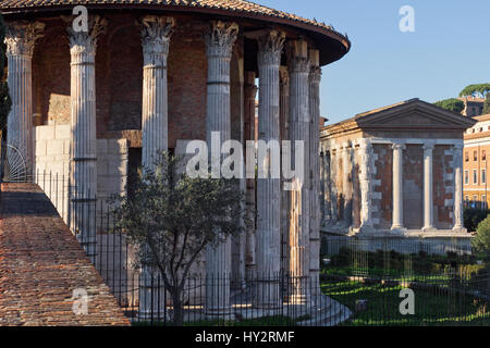 Temples de Vesta et de la Fortuna (Temples d'Hercule viril Victor et Portunus) - Rome Banque D'Images