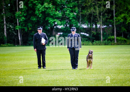 BELFAST, IRLANDE DU NORD. 22 MAI 2016 - Le juge examine la concurrence sur le PD de l'Metpol Annie Thames Metropolitan Police, avec son agent gestionnaire Louise Bell, effectuer des tests d'obéissance à la 56e UK National Police Dog essais qui a eu lieu ce week-end à Belfast. Banque D'Images