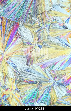 Image du microscope de cristaux d'Asipirin (acide acétylsalicylique) photographié en lumière polarisée Banque D'Images