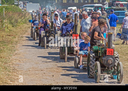 Une collection de moteurs de traction miniature line jusqu'à entrer dans le ring d'exposition à la vapeur 2016 Norton Fitzwarren & Rallye véhicules anciens, Somerset Banque D'Images