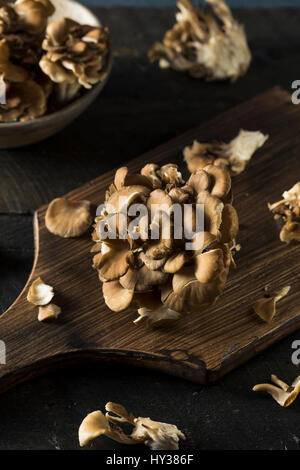 Les champignons Maitake biologiques crus dans un groupe Banque D'Images