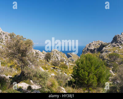 Vue sur la mer Méditerranée à partir de Mortitx sur la côte nord-est de la Serra de Tramuntana de Majorque Banque D'Images