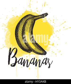 Vector illustration d'une banane. Hand drawn Illustration de Vecteur