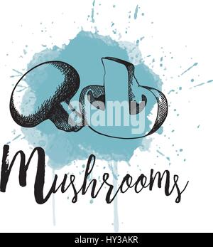 Vector illustration de champignons. Hand drawn Illustration de Vecteur