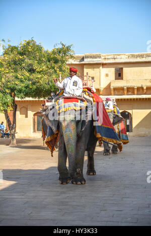 Tour d'éléphant sur la voie pavée à l'Amer (Orange) Fort Jaipur en Inde Banque D'Images