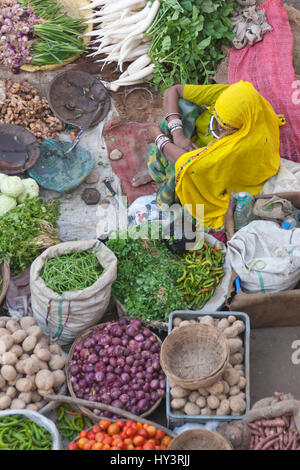Dame indienne en sari jaune vente de fruits et légumes sur un marché de rue à Pushkar Rajasthan Inde Banque D'Images