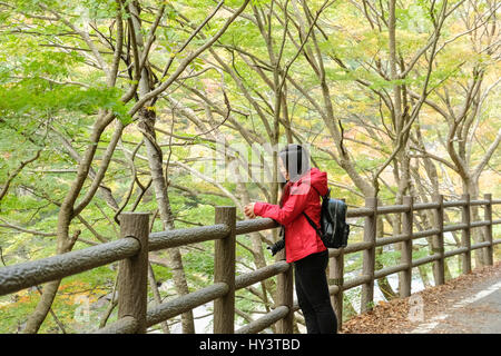 Touriste avec l'appareil photo en bandoulière et s'appuie sur la route en bois clôture en forêt avec les feuilles d'automne dans les gorges de Shosenkyo, Japon Banque D'Images