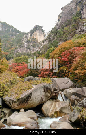 Le débit des rivières sur de grands blocs de pierre en face de la couleur en automne arbres au bas de rocky mountain dans les gorges de Shosenkyo, Japon Banque D'Images