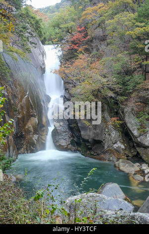 Cascade unique avec de l'eau brouillée en cascades piscine d'emeraude en forêt avec la couleur en automne les arbres dans les gorges de Shosenkyo, Japon Banque D'Images