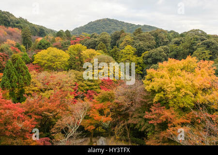 Automne couleur des arbres dans le temple Kiyomizu-dera avec pagode et montagne en arrière-plan à Kyoto, Japon Banque D'Images