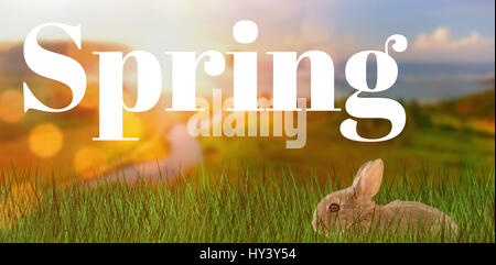 Salutation de pâques contre l'avis du beau littoral Banque D'Images