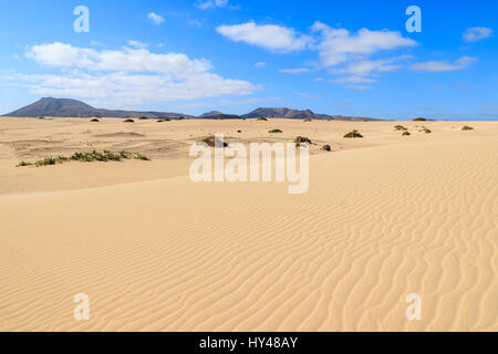 Dune de sable du Parc National de Corralejo, Fuerteventura, Îles Canaries, Espagne Banque D'Images