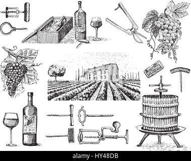 Les produits de la récolte de vin, presse, raisin, vigne tire-bouchons bouteilles verres de style vintage, gravé main croquis Illustration de Vecteur