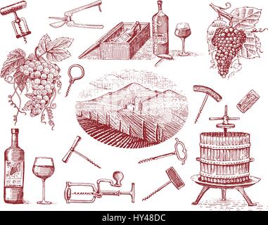 Les produits de la récolte de vin, presse, raisin, vigne tire-bouchons bouteilles verres de style vintage, gravé main croquis Illustration de Vecteur