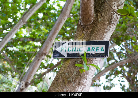 Vert et blanc, de pique-nique inscription faite à partir d'un black one way sign et accroché sur un arbre à Oahu Hawaii. Banque D'Images