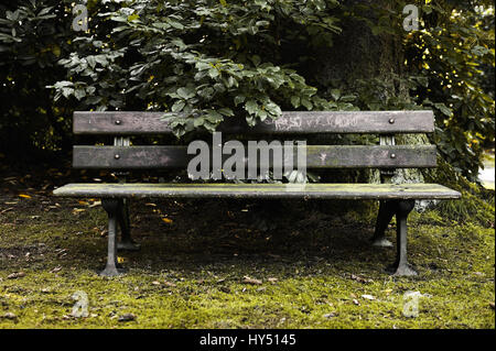 Vieux banc de parc sur le cimetière Ohlsdorfer à Hambourg, Allemagne, Alte Parkbank auf dem Ohlsdorfer Friedhof Hamburg, Deutschland Banque D'Images