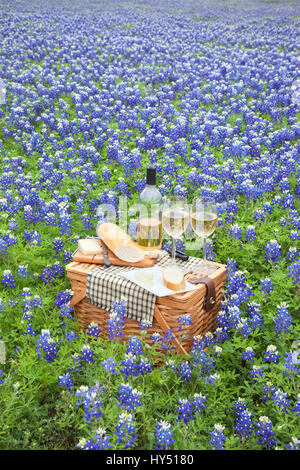 Un panier pique-nique en osier marron avec vin, fromage, pain et ustensiles dans un champ de Texas Hill Country bluebonnets Banque D'Images