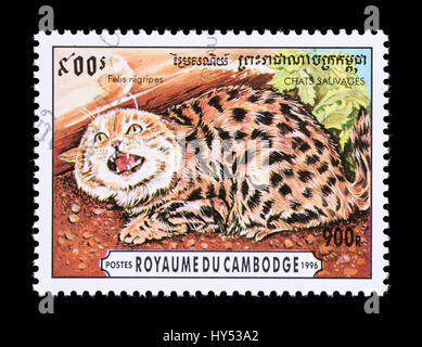 Timbre-poste du Cambodge représentant un chat à pieds noirs (Felis nigripes) Banque D'Images