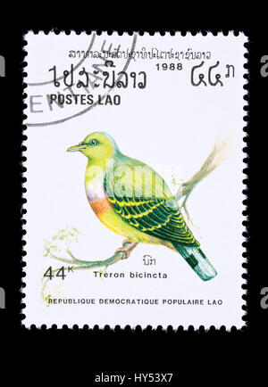 Timbre-poste du Laos à poitrine orange représentant un pigeon vert (Treron bicinctus) Banque D'Images