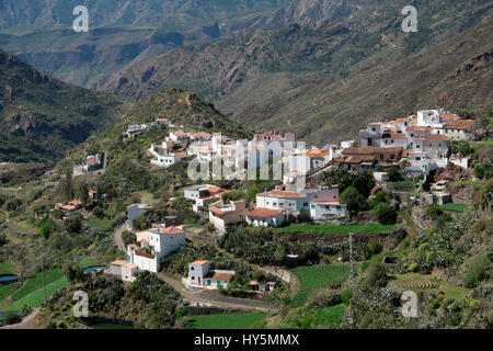 Tejeda, la Caldeira de Tejeda, Gran Canaria, Îles Canaries, Espagne Banque D'Images