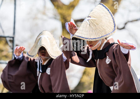 Yosakoi Hinokuni Dance Festival au Japon. Les femmes La danse danseurs sur scène. Porte brown long yukata et chapeaux de paille farmer. Banque D'Images