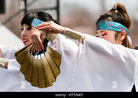 Yosakoi Hinokuni Dance Festival au Japon. Close-up de deux femmes en yukata blanc danseurs et blue head-band, tenant les bras et la tenue d'éventail ouvert. Banque D'Images