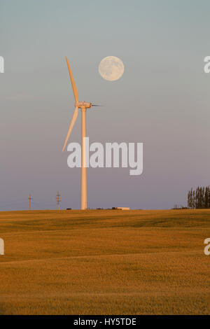 Pleine lune sur Fuhrlander éolienne près de Drumheller, Alberta Banque D'Images