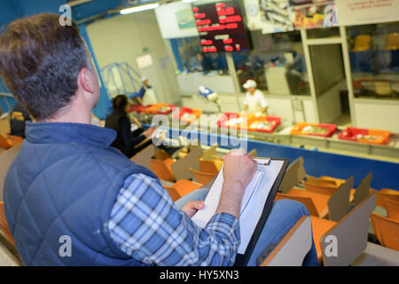 Vue arrière de l'homme en salle d'enchères Banque D'Images