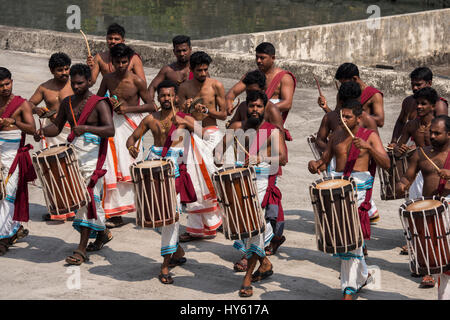 L'Inde, Cochin. Tambour mâle local band en tenue typique. Banque D'Images