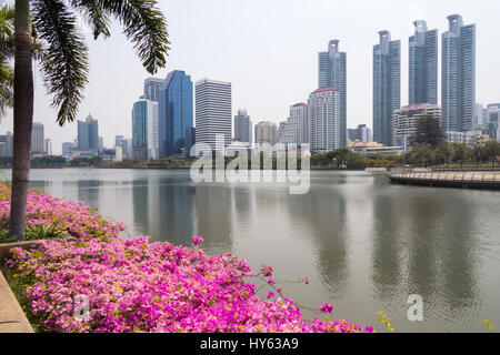 Le lac, de bougainvilliers et gratte-ciel autour de parc Benjakiti, Bangkok, Thaïlande Banque D'Images