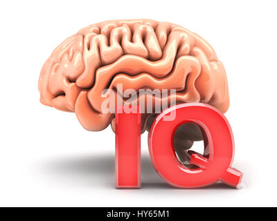 Cerveau humain et signer l'IQ. 3d illustration Banque D'Images