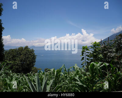 Volcan Atitlan est un gros, conique, stratovolcan actif à proximité de la caldeira du lac Atitlan dans les hautes terres guatémaltèques de la Sierra Madre de Ch Banque D'Images