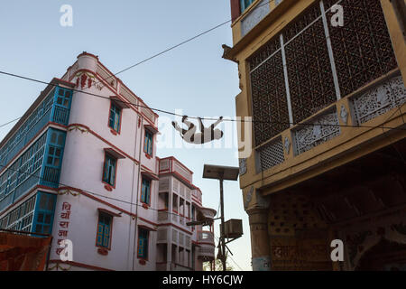 Monkey accroché dans les rues de la ville fils dans Vrindavan, Inde Banque D'Images