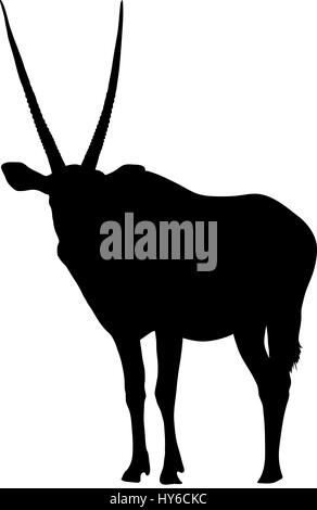 Silhouette d'un oryx gazelle permanent Illustration de Vecteur
