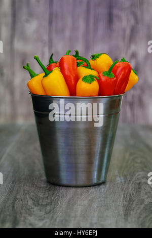 Rouge vert jaune piments dans un seau un assortiment de Poivrons et piments dans un seau en métal avec des gouttelettes d'eau vertical format Banque D'Images