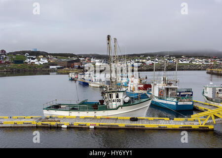 Bateaux de pêche au quai, port de Bonavista, Terre-Neuve Banque D'Images