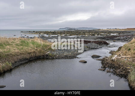 Site d'atterrissage Viking c1000AD À L'Anse aux Meadows, Terre-Neuve, découvert en 1960. Banque D'Images