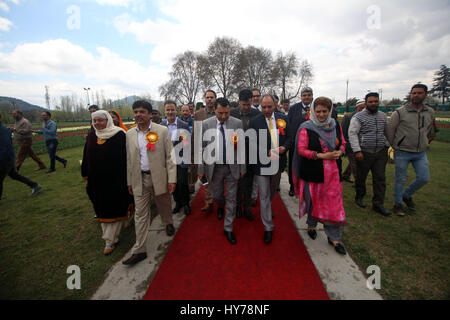 Srinagar, au Cachemire. 01 avr, 2017. Les 15 jours 'Tulip Festival' a été inauguré par les fonctionnaires à l'Indira Gandhi Memorial Tulip Garden dans le recouvrement de Zabarwan Hills ici aujourd'hui. Répartis sur 600 kanals de terre, le plus grand jardin de tulipes de l'Asie avec plus de 1,5 millions de fleurs de plus de 46 variétés ont été ouvertes au public. Credit : Umer Asif/Pacific Press/Alamy Live News Banque D'Images