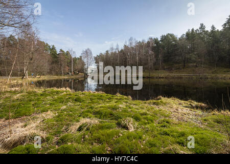 Svarttjern, une grenouille et des crapauds dans l'étang de Baneheia Kristiansand, Norvège Banque D'Images