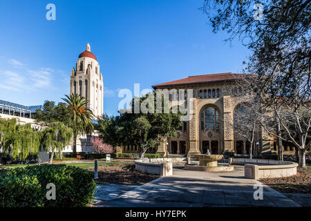 Campus de l'Université de Stanford et Hoover Tower - Palo Alto, Californie, États-Unis Banque D'Images